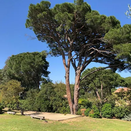 Nord Sud Wifi Climatisation Piscine Privee Gassin